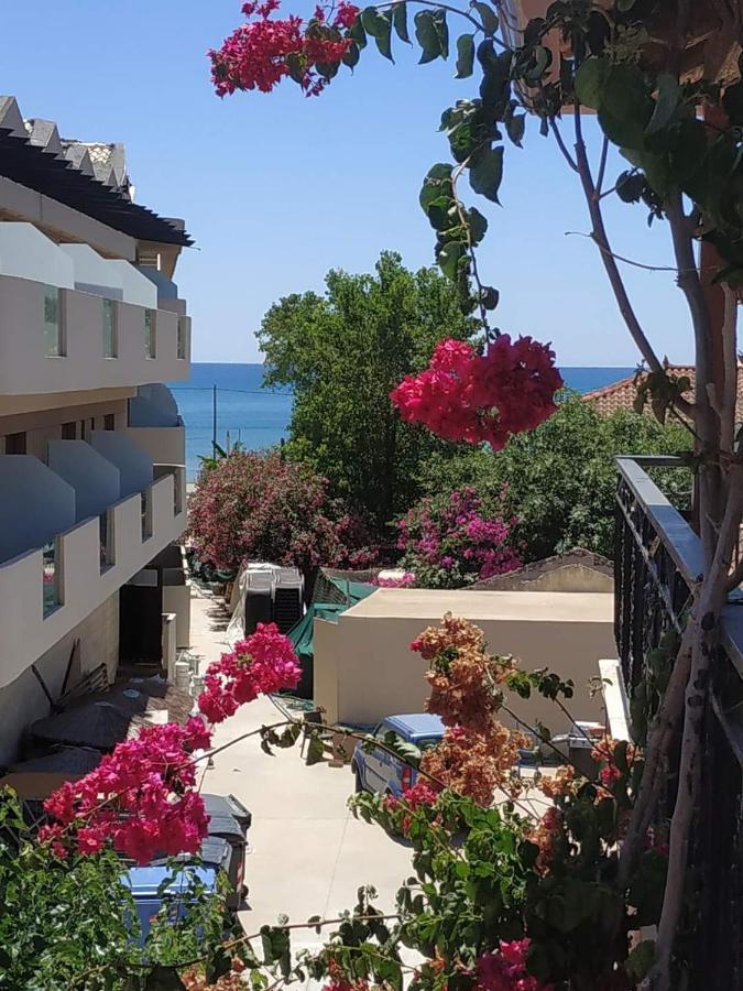 Lejlighedshotel Delfini 2